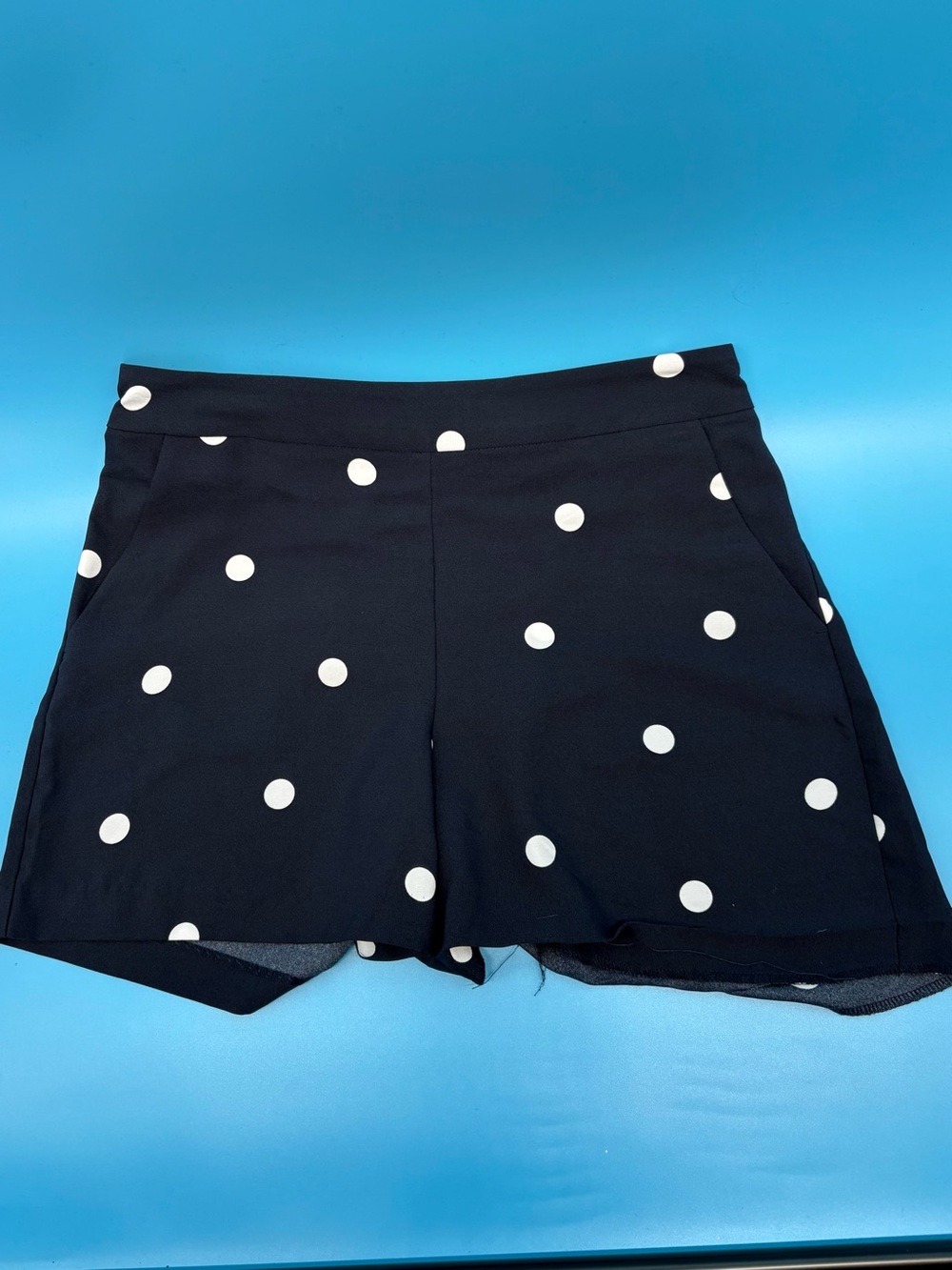 LOFT Navy Blue & White Polka Dot Dressy Shorts - Small - Classic Casual EUC